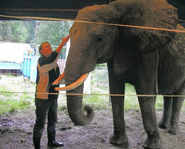 Elefant Benjamin geniet die Hautpflege von seinem Dompteur Stefan Frank.   | Foto: Philipp Sahli