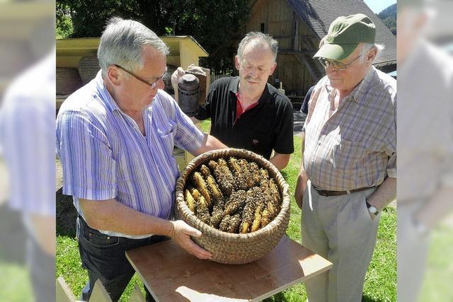 Als der Honig noch aus dem Waben gequetscht wurde