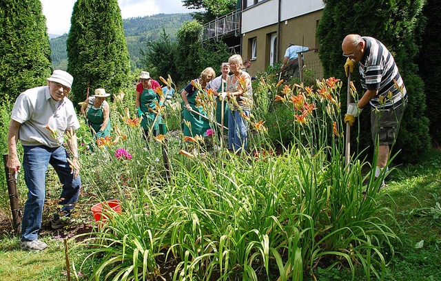 Ins Schwitzen kamen die Gartenfreunde ...aktischen Arbeit im Sonnhaldengarten.   | Foto: Edgar Steinfelder