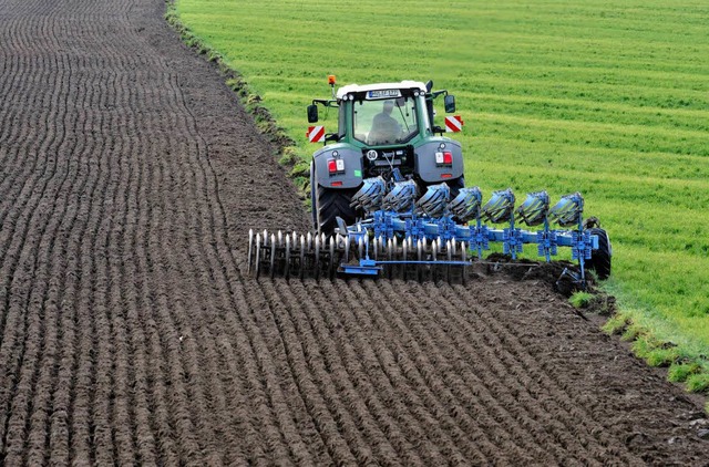 Umbrechen von Grnland  | Foto: dpa