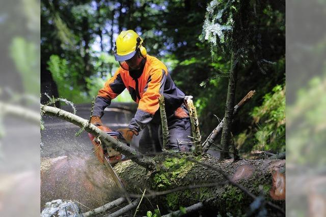 Der Gemeinderat steht im Wald