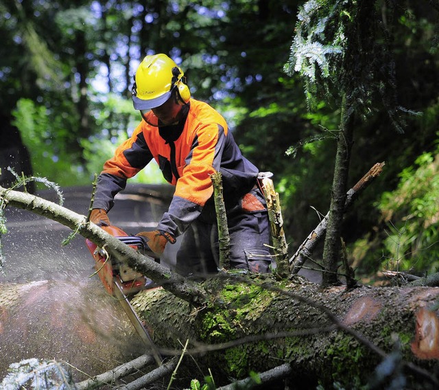 Extra gefllt, live zersgt: Forstarbeiter im Dienst  | Foto: Thomas Kunz