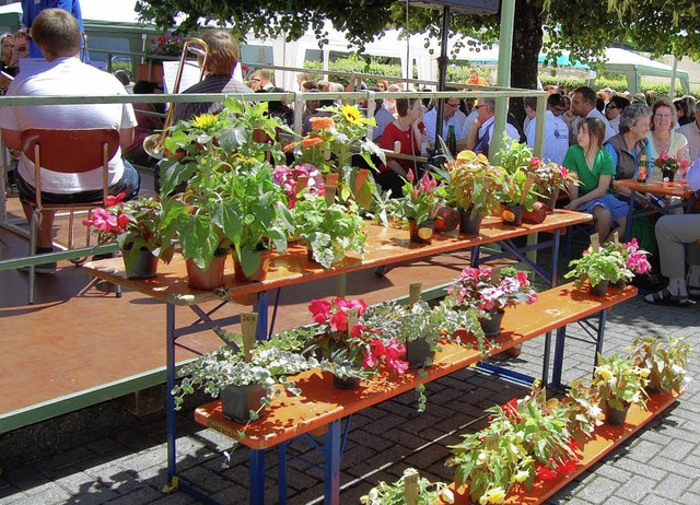 Blumen ber Blumen: Beim traditionelle...d lsst es sich gemtlich  verweilen.   | Foto: Melanie Dramac