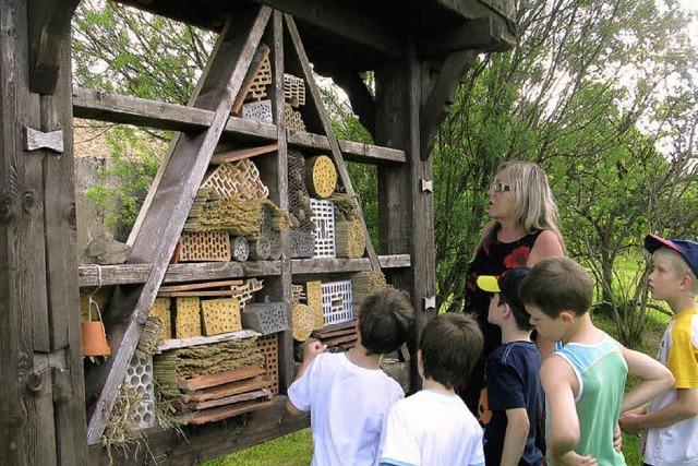 Wildbienenhotel ist erffnet