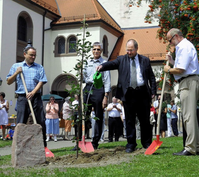 Es muss nicht unbedingt ein Apfelbumc...ne Elsbeere als Zeichen der Hoffnung.   | Foto: Wolfgang Knstle