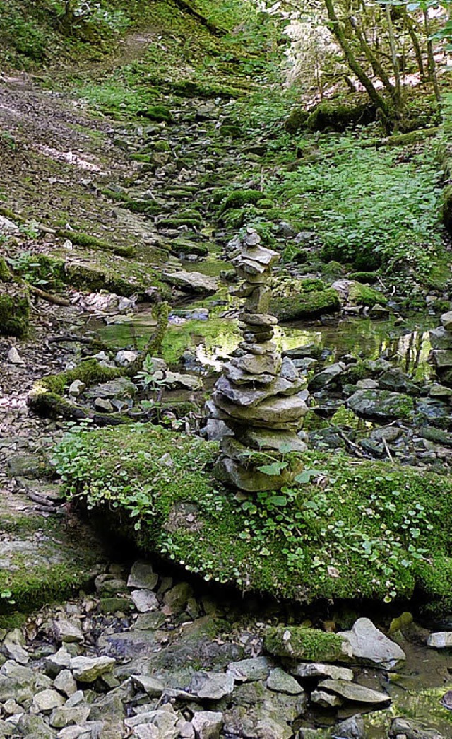 Viele Bche im Hochschwarzwald, wie hi...ei Bachheim,  sind nur noch Rinnsale.   | Foto: T. Winckelmann