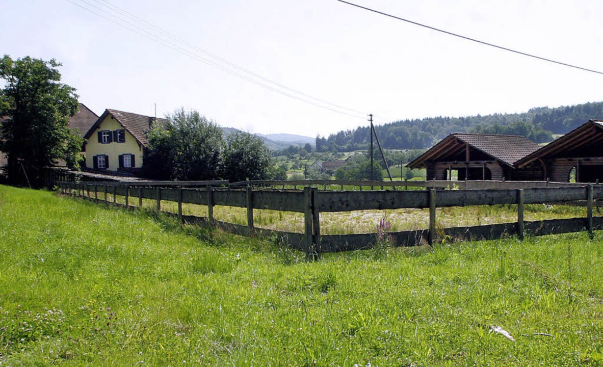 Eine Reithalle wird beim Schwrerhof im Omersbach gebaut.   | Foto: heidi fssel