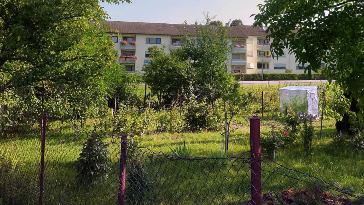 Der breite Grnstreifen zwischen Riesb... sind mehrgeschossige Blocks geplant.   | Foto: Seller