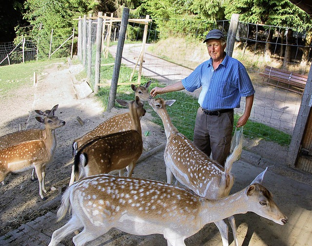 Sein Hobby: Gustav Strohmeier betreut ... Sonntag 40-jhriges Bestehen feiert.   | Foto: Hermann Jacob