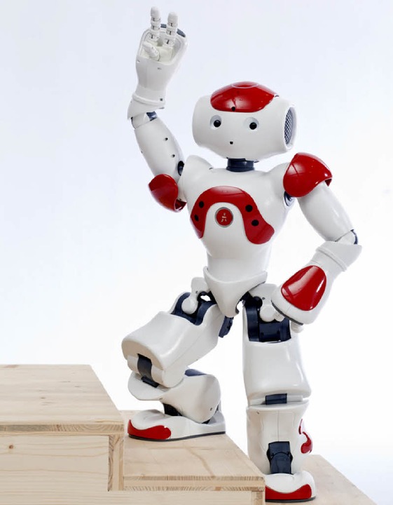 Roboter Nao   | Foto: Britt Schilling