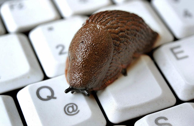 Der Fortschritt ist eine Schnecke:  Da...er Unternehmer viel zu langsam voran.   | Foto: DPA