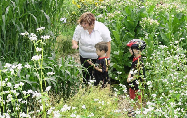 Im neuen Schaugarten in Herbolzheim gibt es eine Menge zu entdecken.  | Foto: Ute Schler