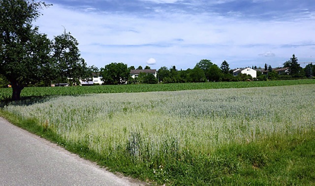 Der Seitenpfaden heute   | Foto: Seller