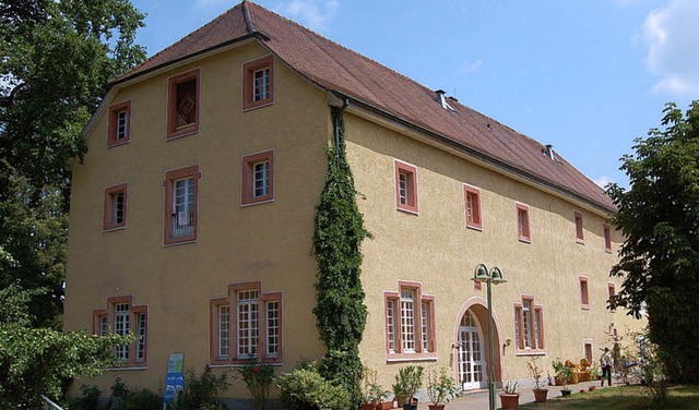 Unterm Dach der Schtte in Schloss Beuggen soll Wohnraum entstehen.   | Foto: Heinz Vollmar