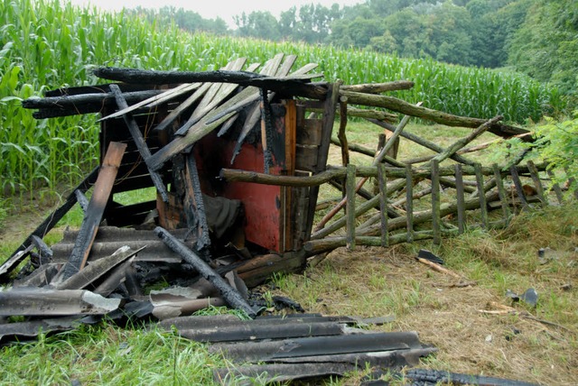 Ein Blitz entzndet einen Hochsitz in Sasbach.  | Foto: Roland Vitt