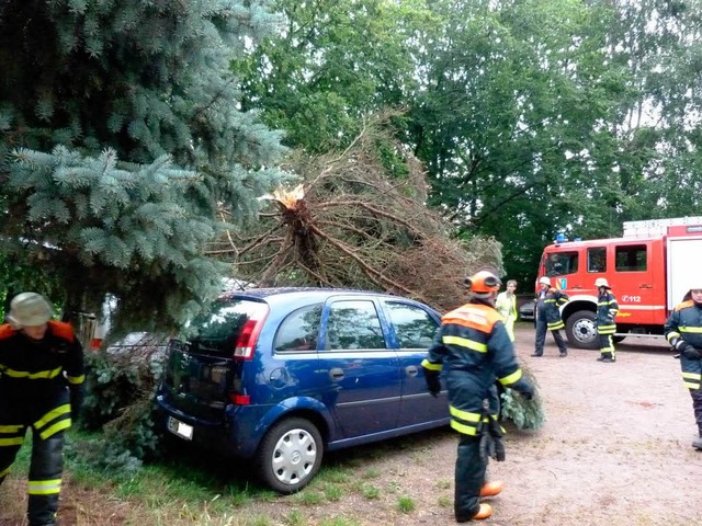 Drei Tannen strzten beim Schtzenhaus am Elzdamm auf die Autos.  | Foto: Polizei