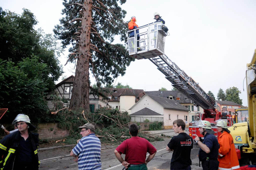 Die Feuerwehr hat alle Hnde voll zu tun, um den Baum zu sichern.