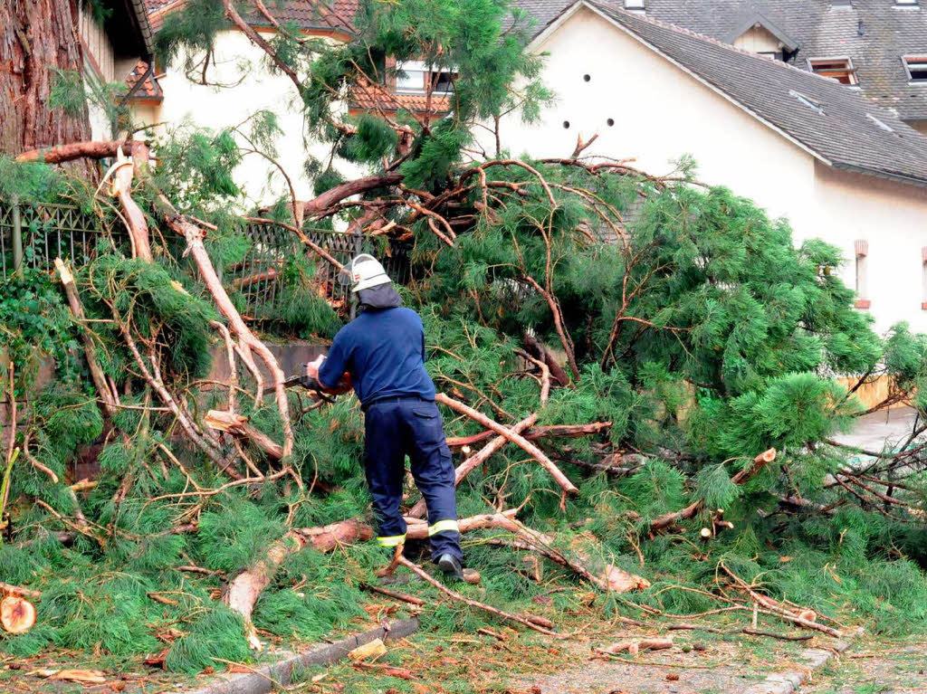 Die Feuerwehr hat alle Hnde voll zu tun, um den Baum zu sichern.