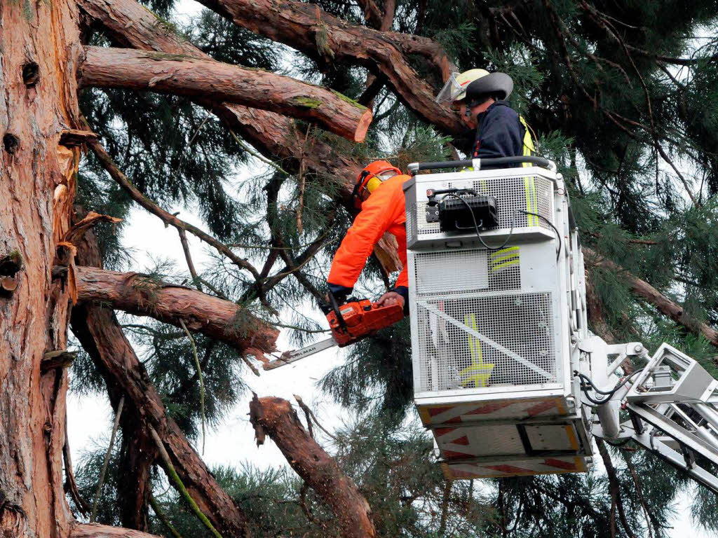 Die Feuerwehr hat alle Hnde voll zu tun, um den Baum zu sichern.