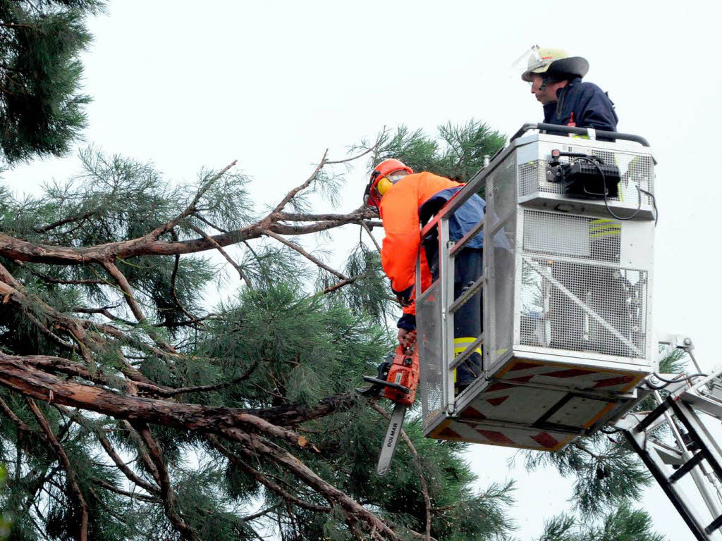 Die Feuerwehr hat alle Hnde voll zu tun, um den Baum zu sichern.