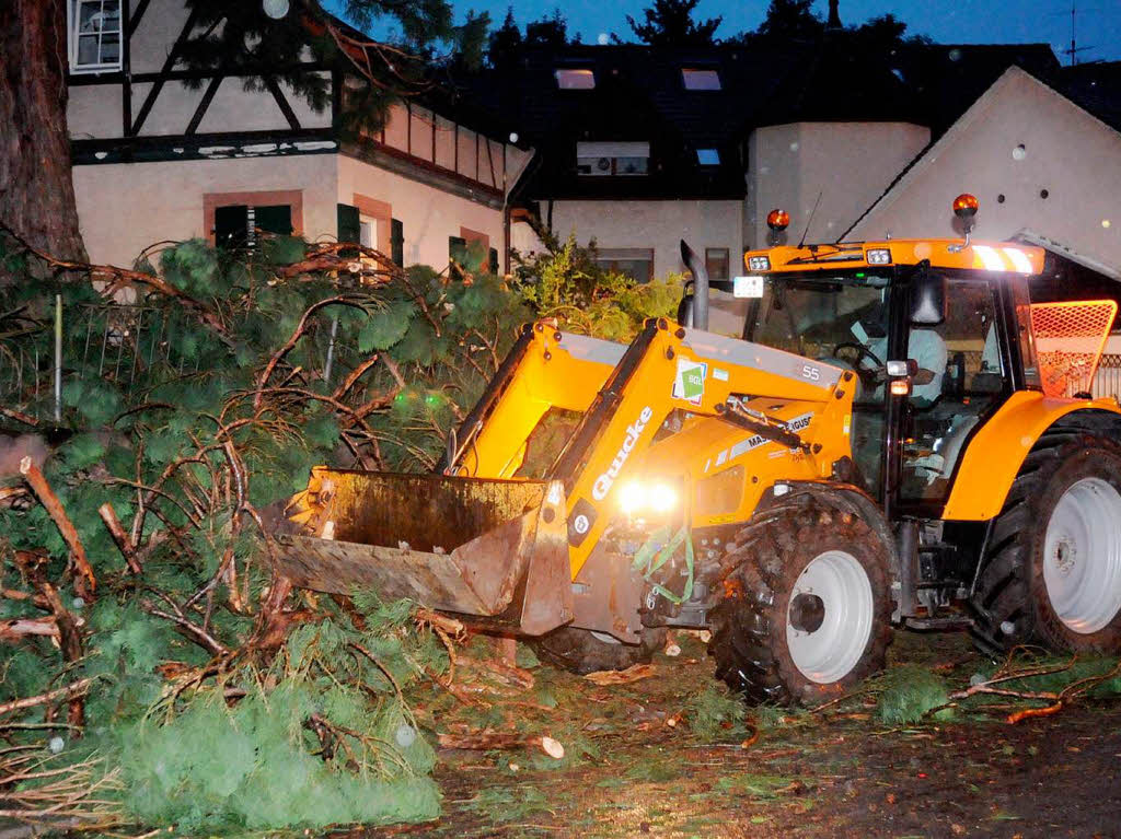 Die Feuerwehr hat alle Hnde voll zu tun, um den Baum zu sichern.