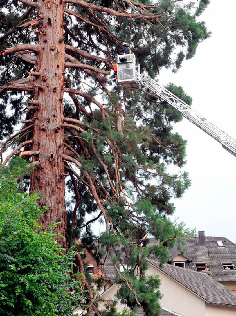 Die Feuerwehr hat alle Hnde voll zu tun, um den Baum zu sichern.