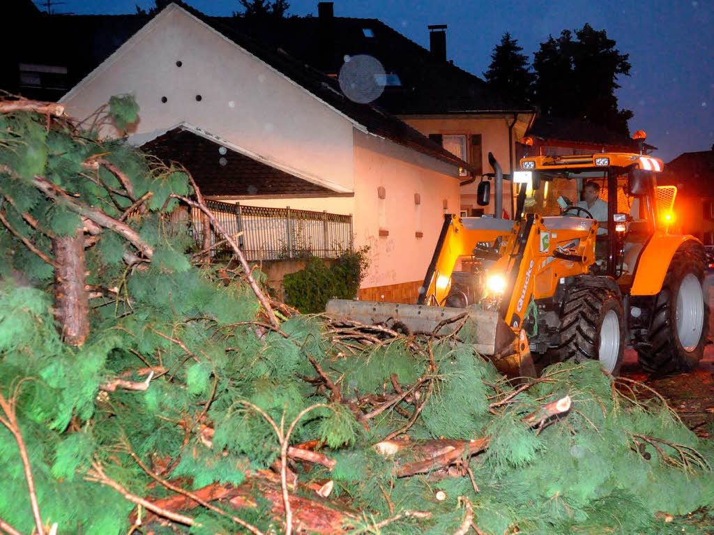 Die Feuerwehr hat alle Hnde voll zu tun, um den Baum zu sichern.