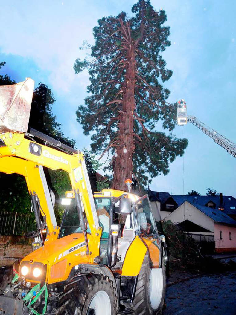 Die Feuerwehr hat alle Hnde voll zu tun, um den Baum zu sichern.