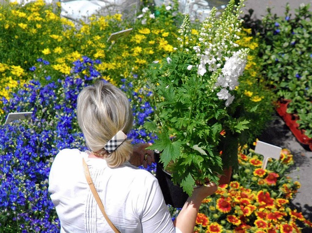 Vielfltig soll es auch in diesem Jahr...r Diga-Gartenmesse in Schloss Beuggen   | Foto: Ralf Staub