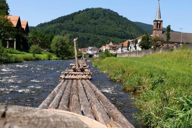 Schwarzwaldtannen in gurgelnden Fluten