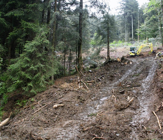 Rund 400 Quadratmeter Wald wurden fr ...beiten an den Schwandquellen  gerodet.  | Foto: Katja Mielcarek