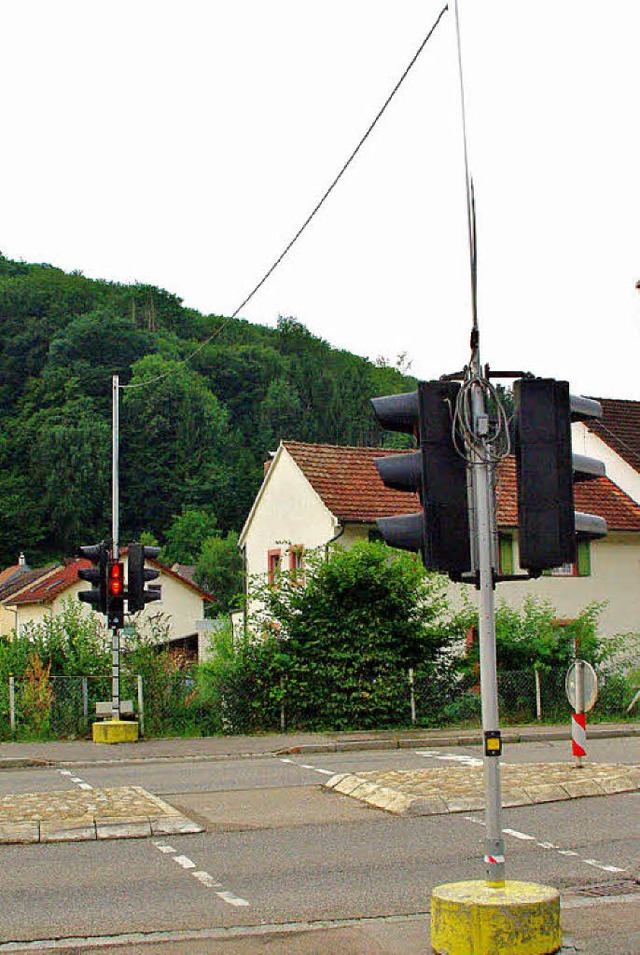 Die Trgermasten fr die Fugngerampe... diese Anlage fest installiert werden.  | Foto: Rolf Reimann