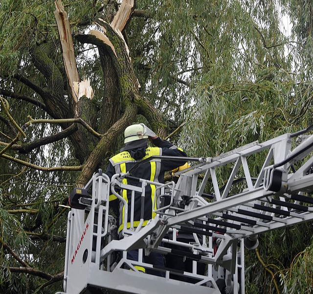 Fr abgeknickte ste  sorgte das Unwet...m Hgelheimer Wohngebiet Ob dem Dorf.   | Foto: Volker Mnch