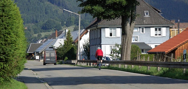 Rad- und Gehweg entlang der B 315 in Lenzkirch geplant  | Foto: Horst A. B