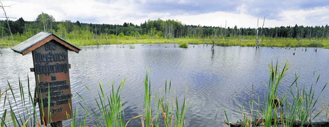 Moore &#8211; im Bild das Schwenninger...n von schdlichen Treibhausgasen frei.  | Foto: Hahne