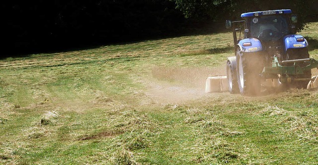 Drre Hlmchen statt reicher Ernte: Die Landwirte sind unzufrieden.    | Foto: DAPD