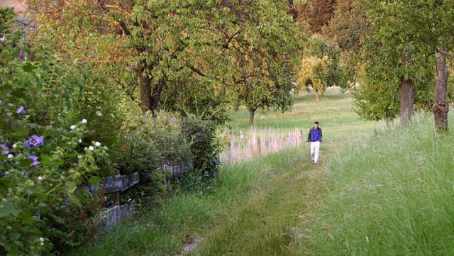 Haldenweg  | Foto: Andrea Steinhart