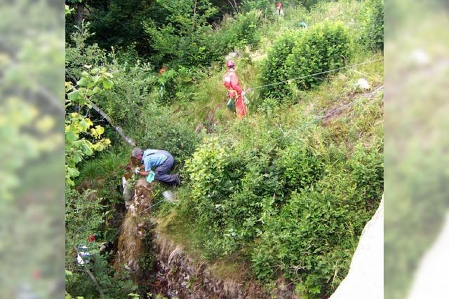 Springkrautbekmpfung am steilen Felshang