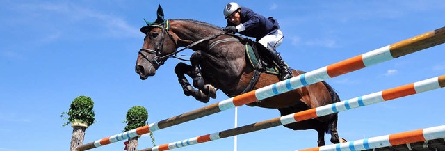 Hans-Dieter Dreher und Hengst Magnus R...rdrhein-Westfalen ber ein Hindernis.   | Foto: dpa