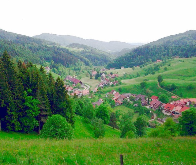 Der Wechsel von Wald und Wiese ist ken...lungslandschaft im hinteren Kandertal.  | Foto: kann