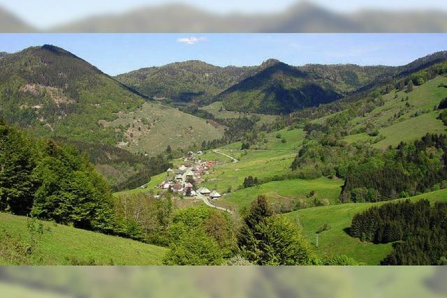 Schwarzwald-Tourismus hat Nachholbedarf im Internet
