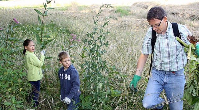 Ralf Dubler macht mit seinen Kindern ...Alexander dem Springkraut den Garaus.   | Foto: Jrn Kerckhoff