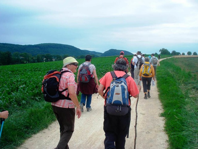 Pilgergruppe auf der ersten Tagesetappe des Anschlussweges nach Mariastein.   | Foto: Dominik Wunderlin