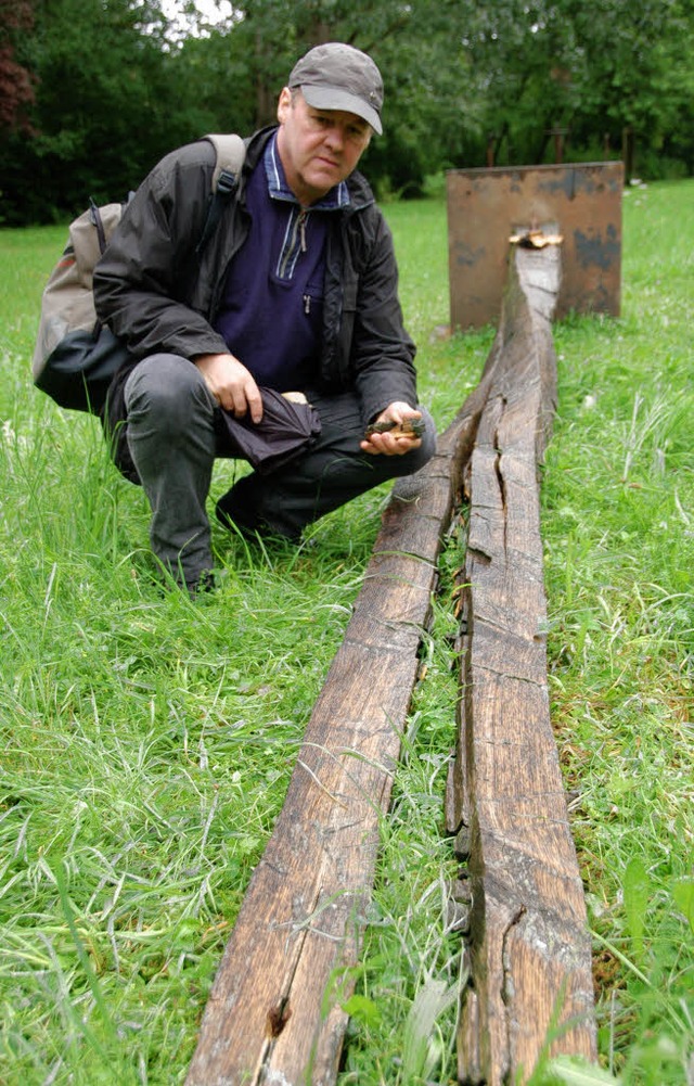 Begutachtete gestern den Schaden an seiner Skulptur: Knstler Armin Ghringer.  | Foto: Gerhard Walser