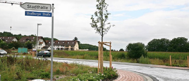 Nein, nicht zur Stadthalle hin, sonde... mehr Wohnbaufläche geschaffen werden. | Foto: Sandra Decoux-KOne Nein, nicht zur Stadthalle hin, sonde... mehr Wohnbaufläche geschaffen werden. | Foto: Sandra Decoux-KOne