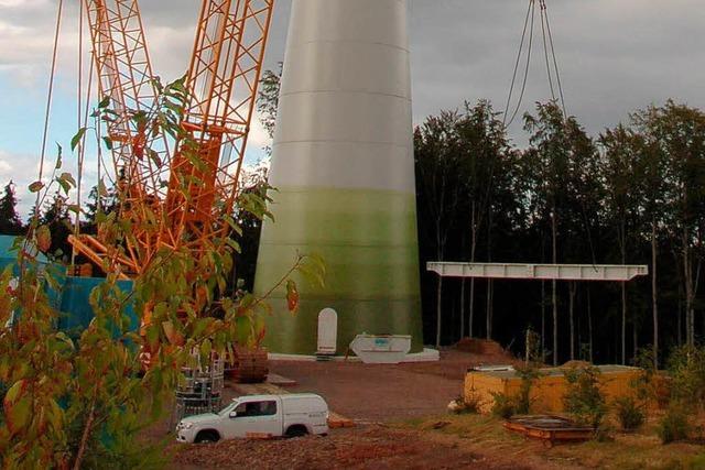 Gigant auf dem Freimter Scheerberg