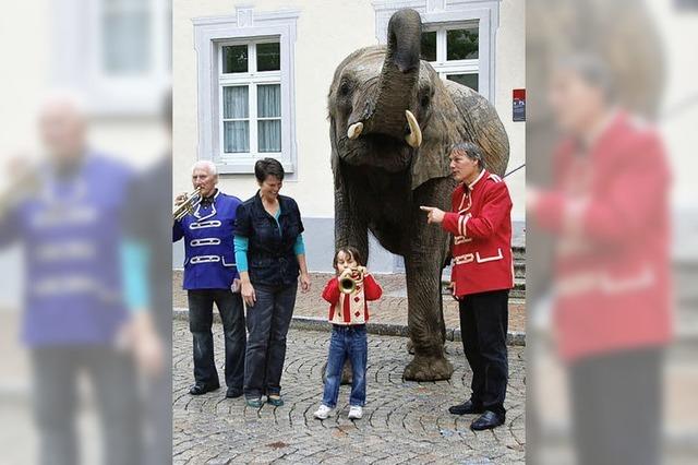 Ein Elefant an der Türe zum Säckinger Rathaus