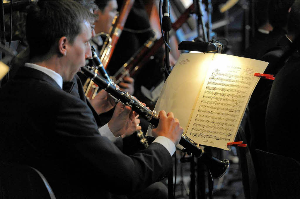 Die Musiker des Markgrfler Symphonieorchesters