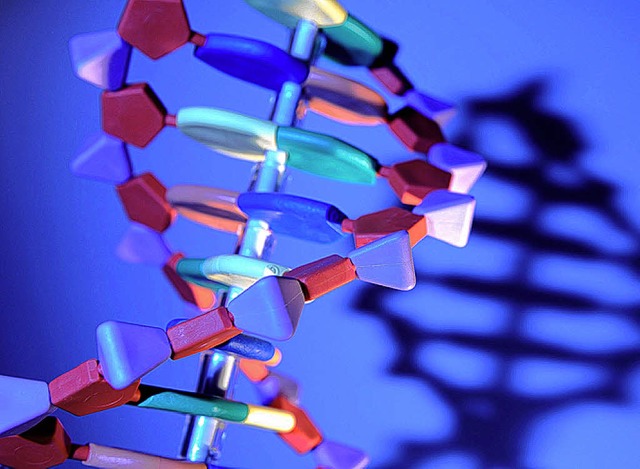 Erst testen, dann helfen &#8211; Modell einer DNA  | Foto: Verwendung weltweit, usage worldwide