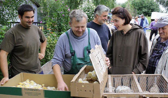 Der Handel mit den Kleintieren fiel dieses Jahr verhalten aus.   | Foto: BZ